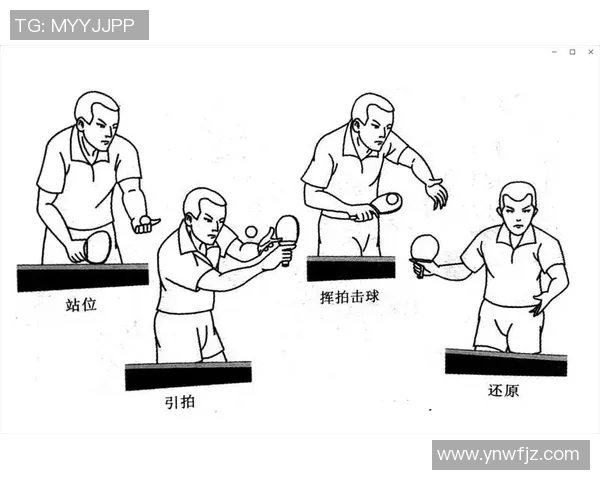 武汉乒乓球队战术解析与对比深度剖析球队优势与不足
