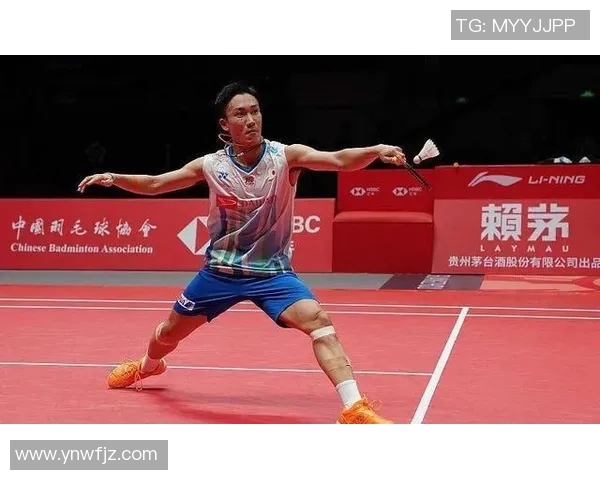 重庆羽毛球队反击战术深度解析与发展前景探讨